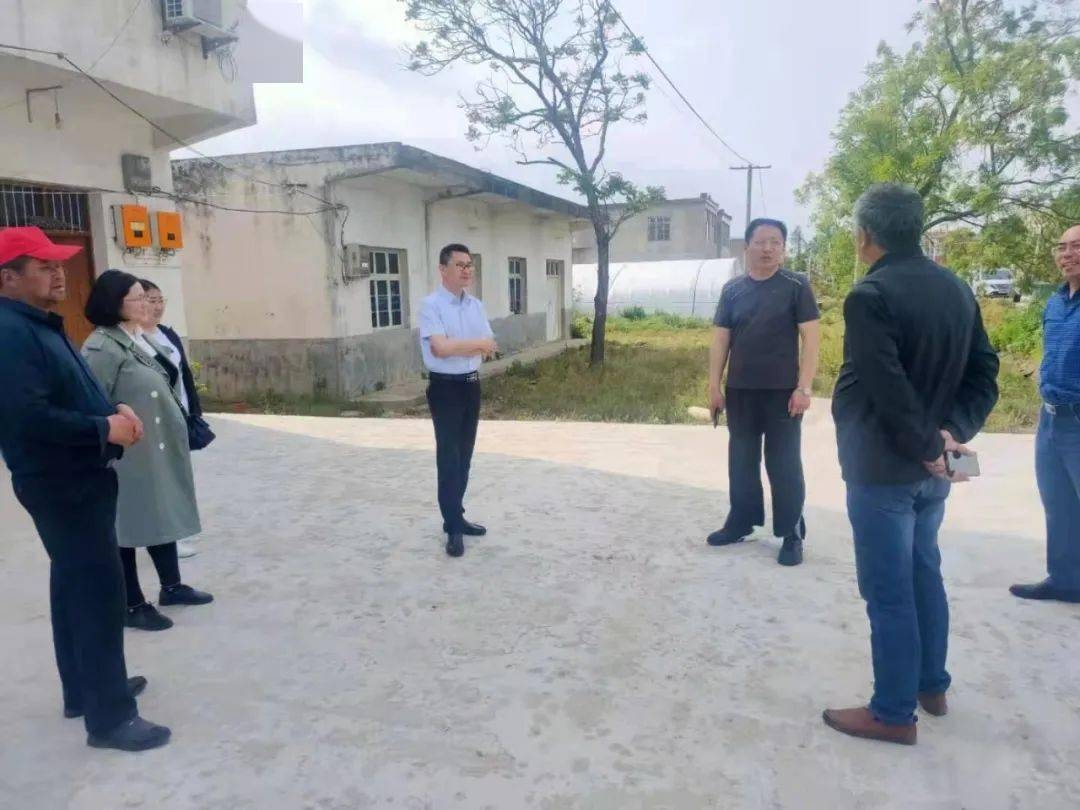 探索室内风水学，营造和谐宜居的居住环境插图