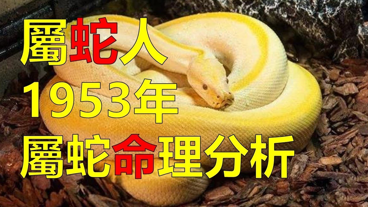 癸巳蛇年生肖起源插图