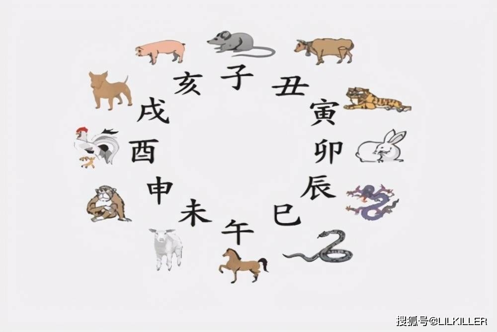 属相相配，古老智慧与现代情感的桥梁插图