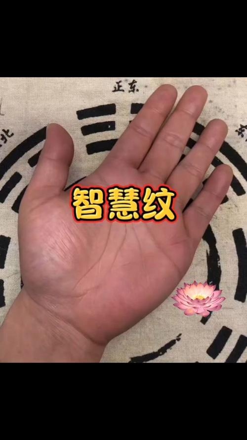 探索新派手相,科技与传统智慧的融合插图 探索新派手相,科技与传统智慧的融合插图