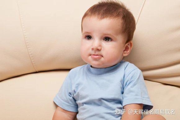 兔宝宝取名，寓意与创意的完美融合插图