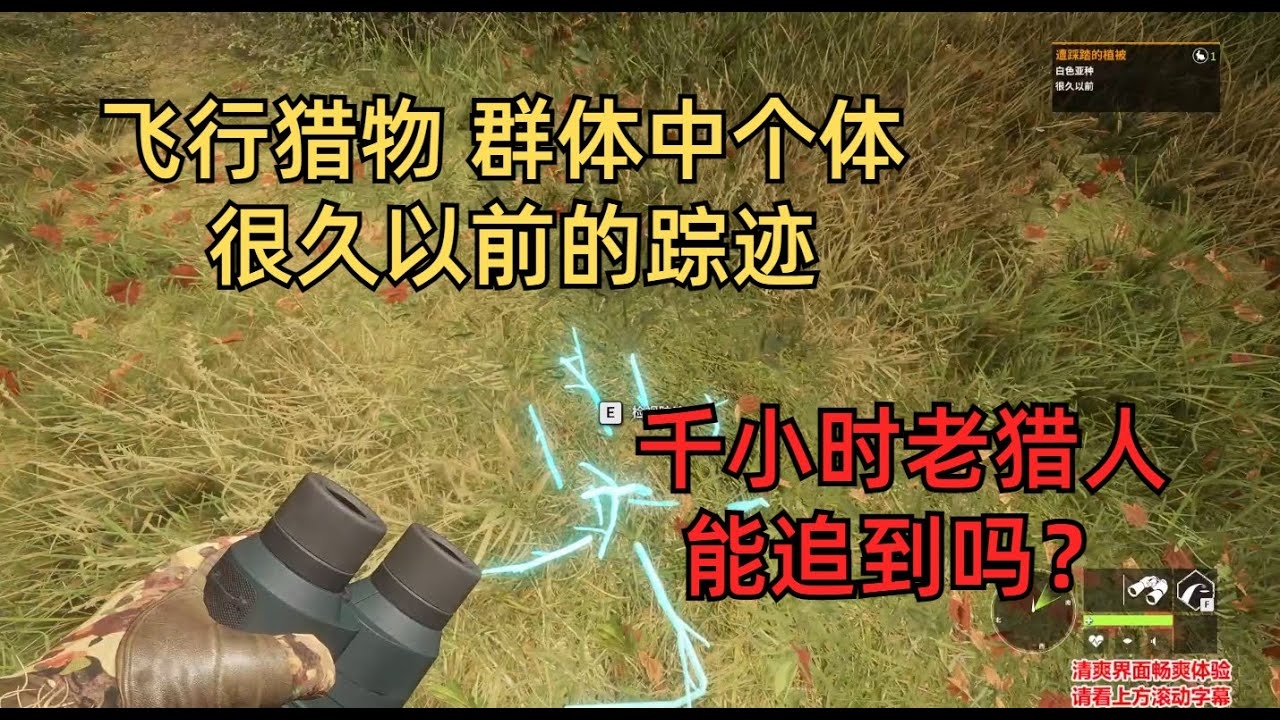 魔兽猎人名字，狂野追踪，精准猎杀插图