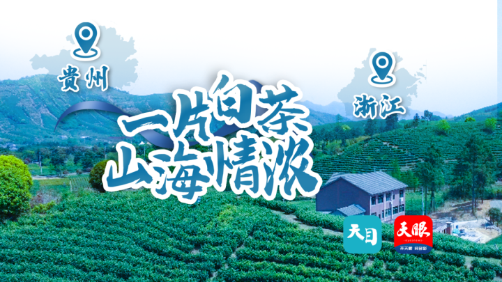 黔南，山水之间寻挚友，情谊长伴共融天插图