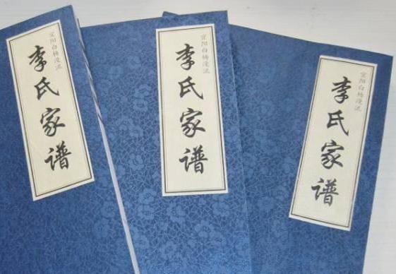 探寻李氏根源，一部李氏族谱的千年传承插图