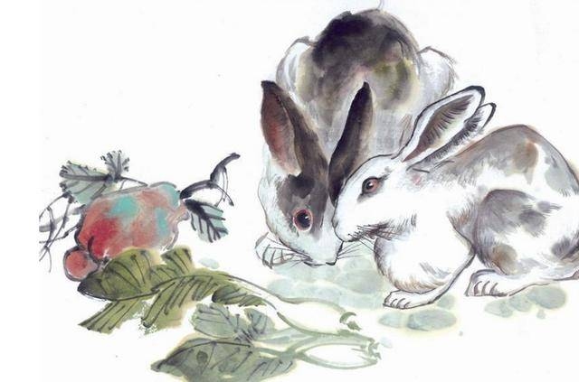 揭秘，天女下凡生肖之谜，兔羊争辉？插图
