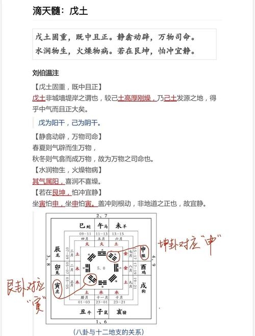 探索戊土日元的奥秘，传统命理学的智慧与现代生活的启示插图