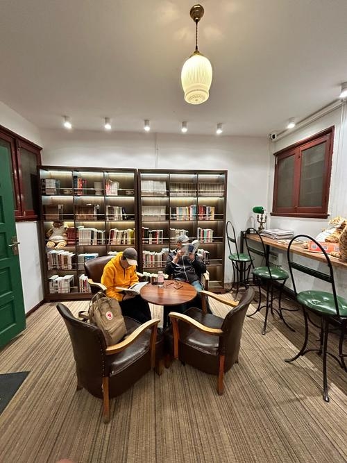 探索纯文本公共聊天室，怀旧与自由的交流体验插图