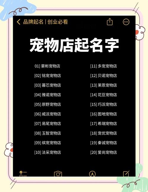 炫舞宠物名字，打造独一无二的个性风采插图