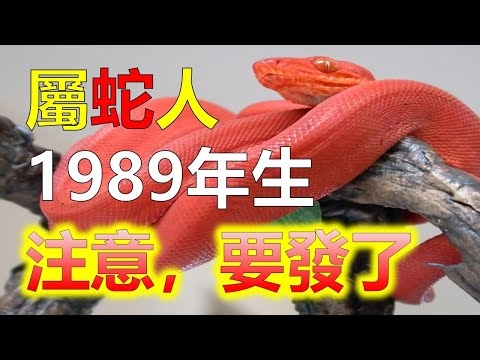 1989年生肖解析，土蛇之命，大林木运插图