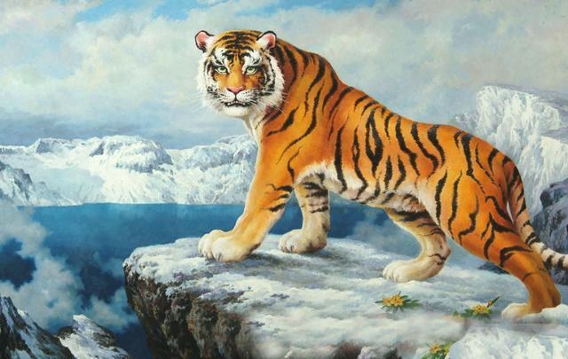 2012年属虎人，大丰收之年，健康需关注插图