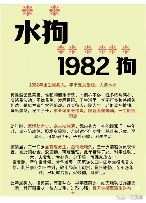 1982年属狗人，水狗之命，奠基未来插图