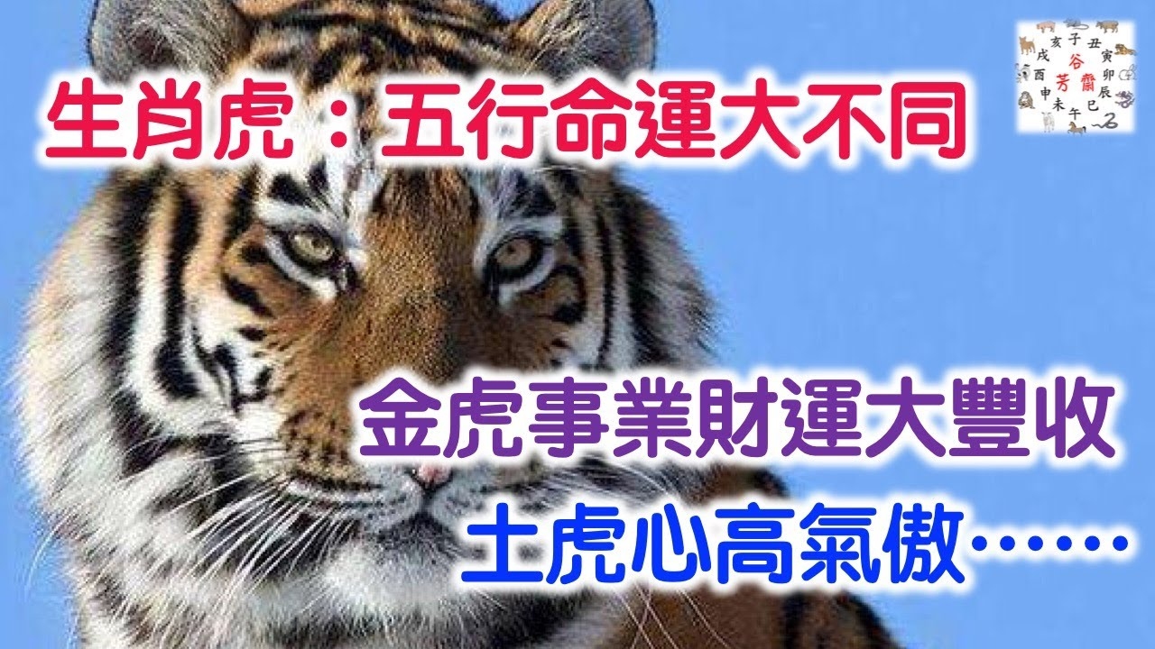 2012年属虎人，财运谨慎，事业外拓，龙争虎斗之年需和谐应对插图