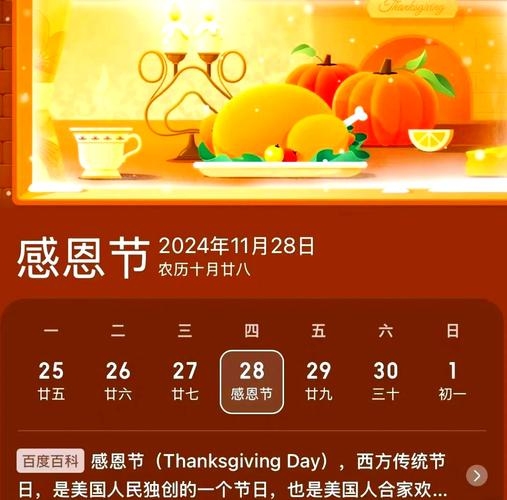2013年感恩节，公历日期为11月28日插图