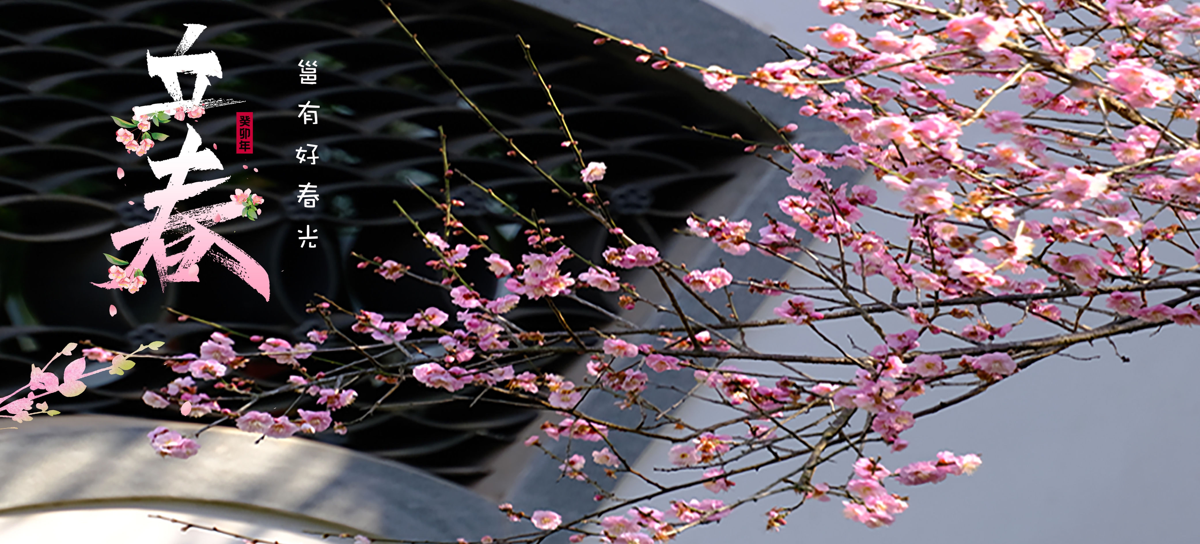 2014立春的由来与意义插图