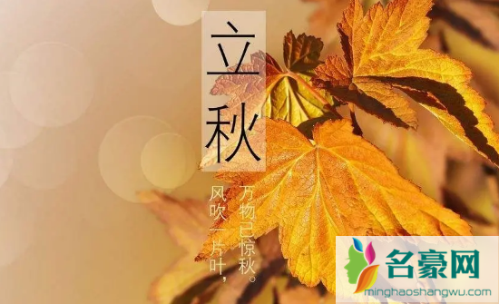 2022年立秋时间，8月7日晚上，晚立秋。插图