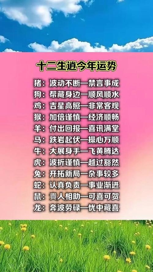 2023年生肖运程，把握机遇，迎接挑战插图