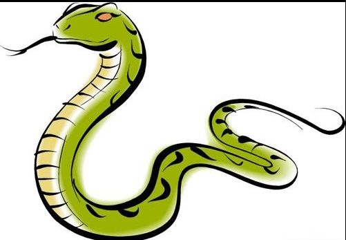 2024年属蛇人需警惕的生肖关系插图