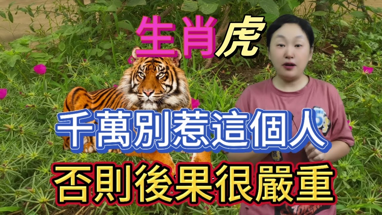 揭秘凶相毕露所指生肖，虎的威猛与真相暴露插图