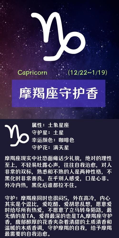 摩羯座，12月22日至1月19日，现实与耐心的代表插图