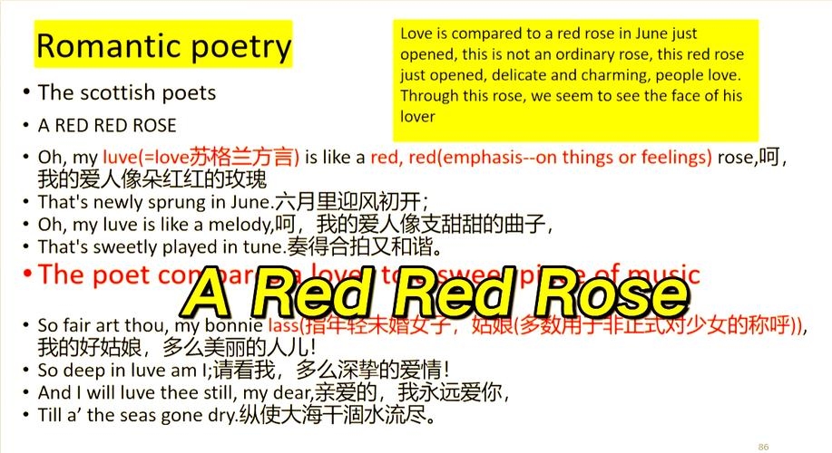 洛葛仙妮英文名有哪些？Roxanne的英文来源及情感意义插图