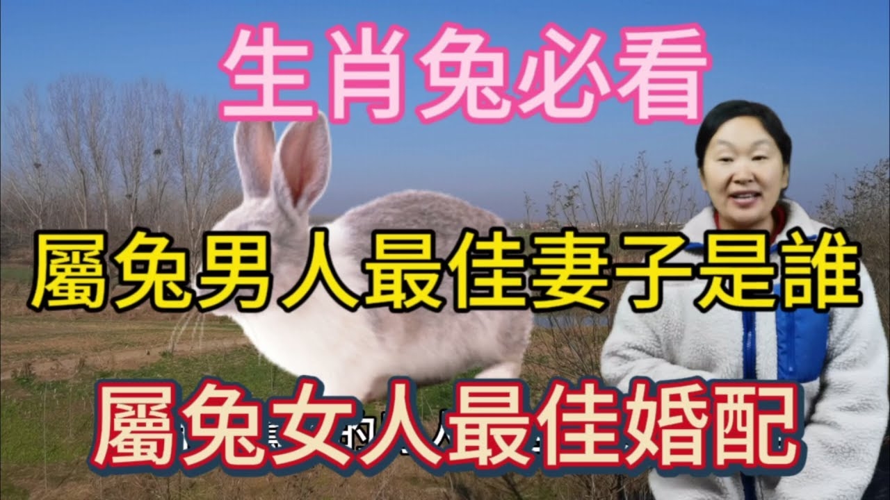 99属兔最佳结婚年龄及择偶建议插图