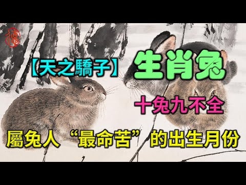 2000年属兔，生在卯月酉日。插图