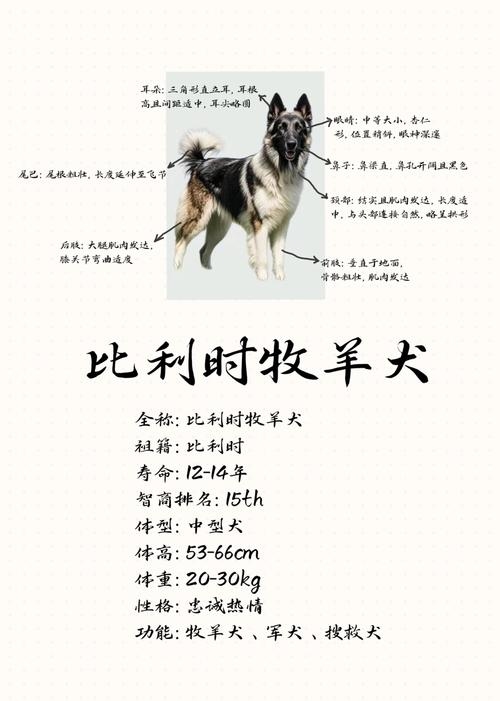 狗是忠诚的象征，牛或羊代表仗羲忠臣。插图