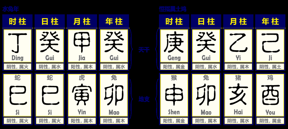 2023年五行属水，是水兔之命插图