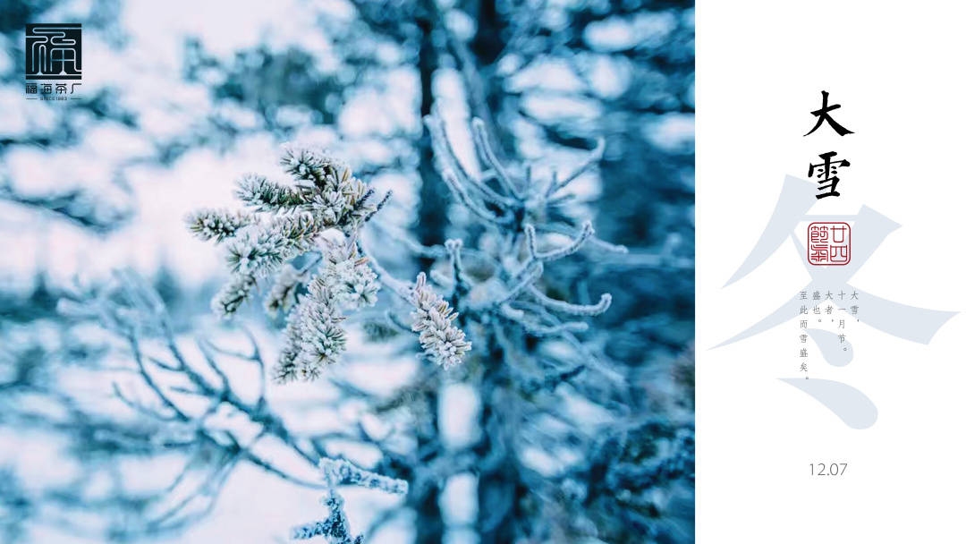 2010年立春为何有今雪未化之说插图