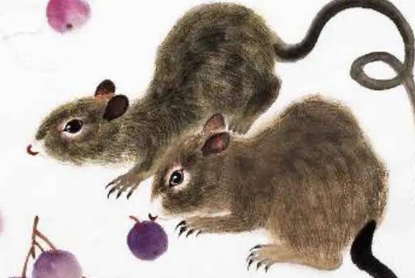 2023年躲春生肖指南，兔鼠鸡龙马需避害插图