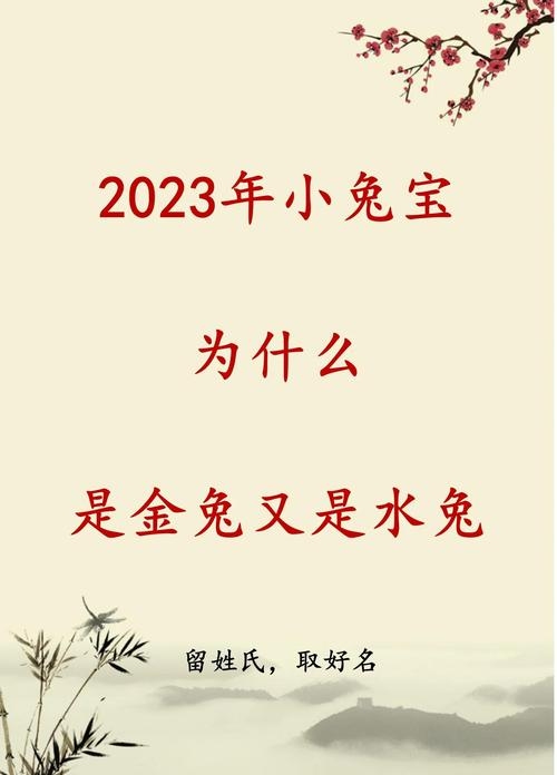 2023年水兔金箔命，温和机智助发展插图