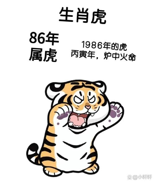 1986年，属虎人的坚韧与激情插图