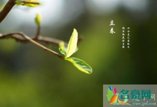 2021立春，生肖躲春指南，助您顺利迎新春插图