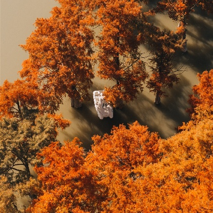 紫薇星座，探寻命运之星的奥秘插图