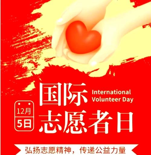 2025国际志愿人员日，全球共庆无私奉献插图
