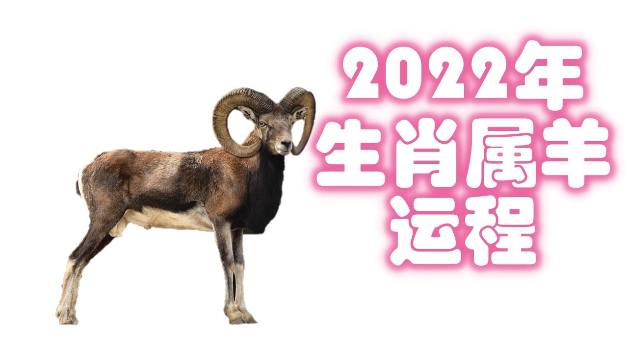 属羊2022年事业艰辛，成功则财富大增插图