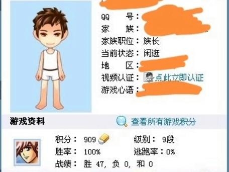 探寻qq家族的独特魅力，在社交网络中寻找家族记忆与传承插图