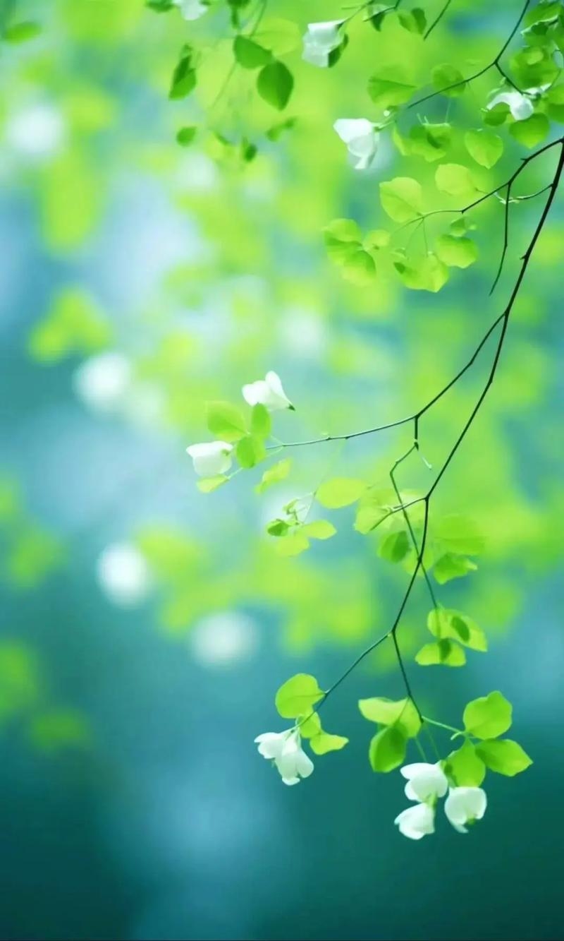 2021年9月8日五行穿衣指南,绿色白贵人色提升气场,黄色幸运装助力机遇。插图 2021年9月8日五行穿衣指南,绿色白贵人色提升气场,黄色幸运装助力机遇。插图