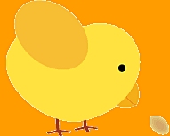 叽叽叽,小鸡吃米,小小生物的奇妙世界插图 叽叽叽,小鸡吃米,小小生物的奇妙世界插图