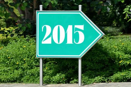 2015，一个转折与变革的年份插图