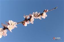 2021年立春的具体日期与时间解析插图 2021年立春的具体日期与时间解析插图