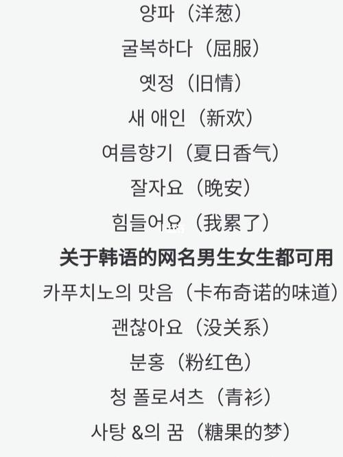 EXO粉丝的独特风采,探索那些充满创意的EXO网名插图 EXO粉丝的独特风采,探索那些充满创意的EXO网名插图