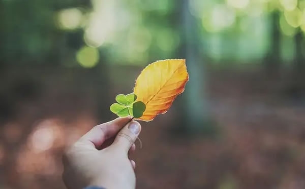 2023年属马,挑战与机遇并存的转折之年插图 2023年属马,挑战与机遇并存的转折之年插图