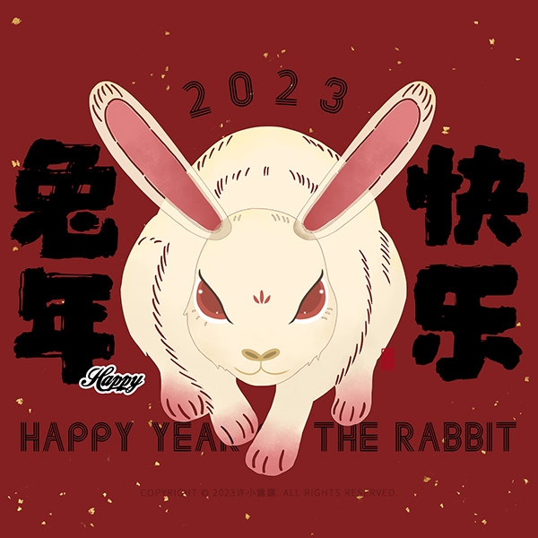 2023兔年，机遇与征程的交响插图
