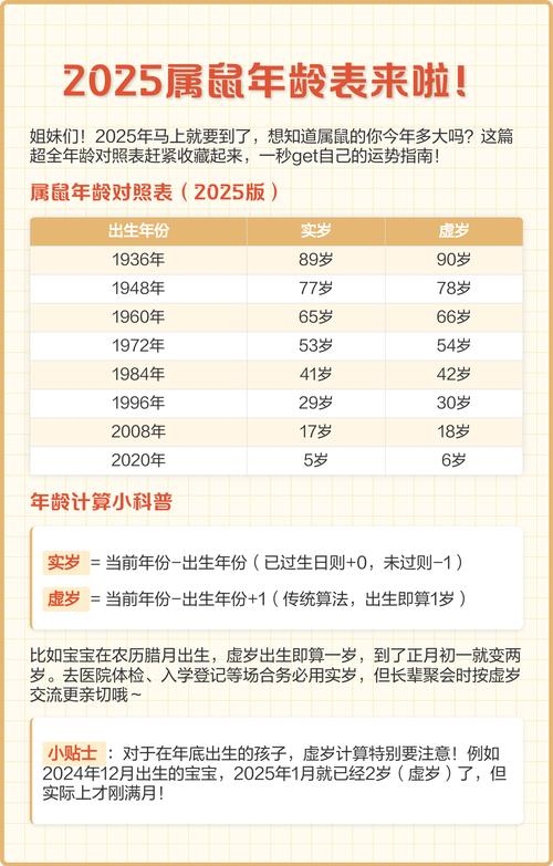 属鼠2025虚岁41,2026年多大插图 属鼠2025虚岁41,2026年多大插图