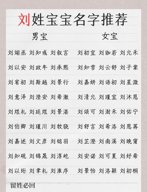 刘姓男孩名字，诗韵流芳，共筑成长之途插图