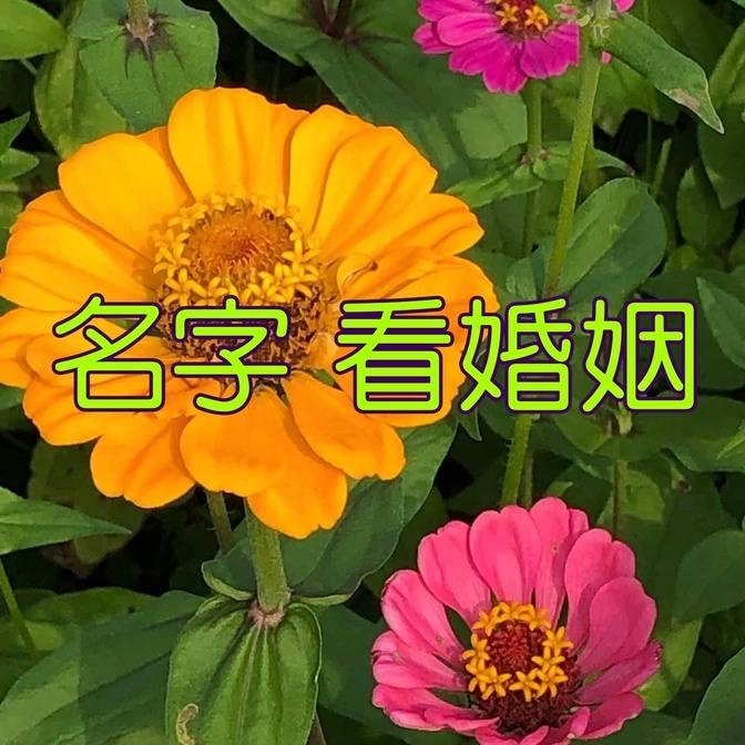 筱汐奕、赵棠悦,名字寓意与生肖契合插图 筱汐奕、赵棠悦,名字寓意与生肖契合插图