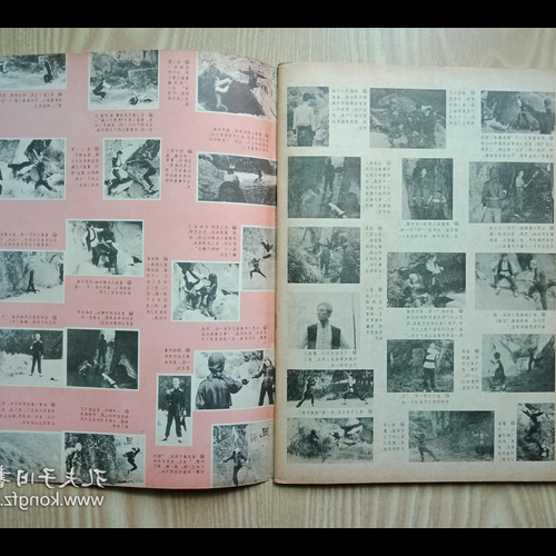 揭秘1985年属相之谜，那一年，你属于哪个生肖？插图