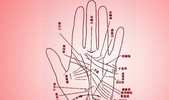 2021年手相测算，精准预测你的未来！插图