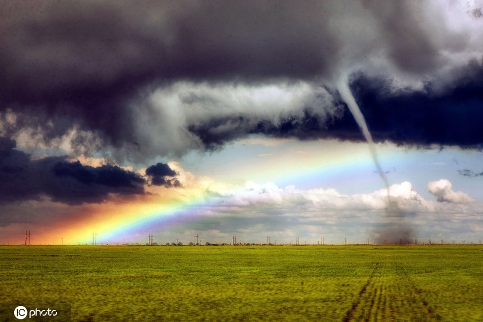 2011农历,风云变幻中的华夏大地,2011年的故事插图 2011农历,风云变幻中的华夏大地,2011年的故事插图